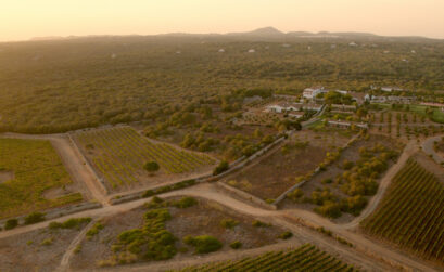 catas de vino menorca guia menorca
