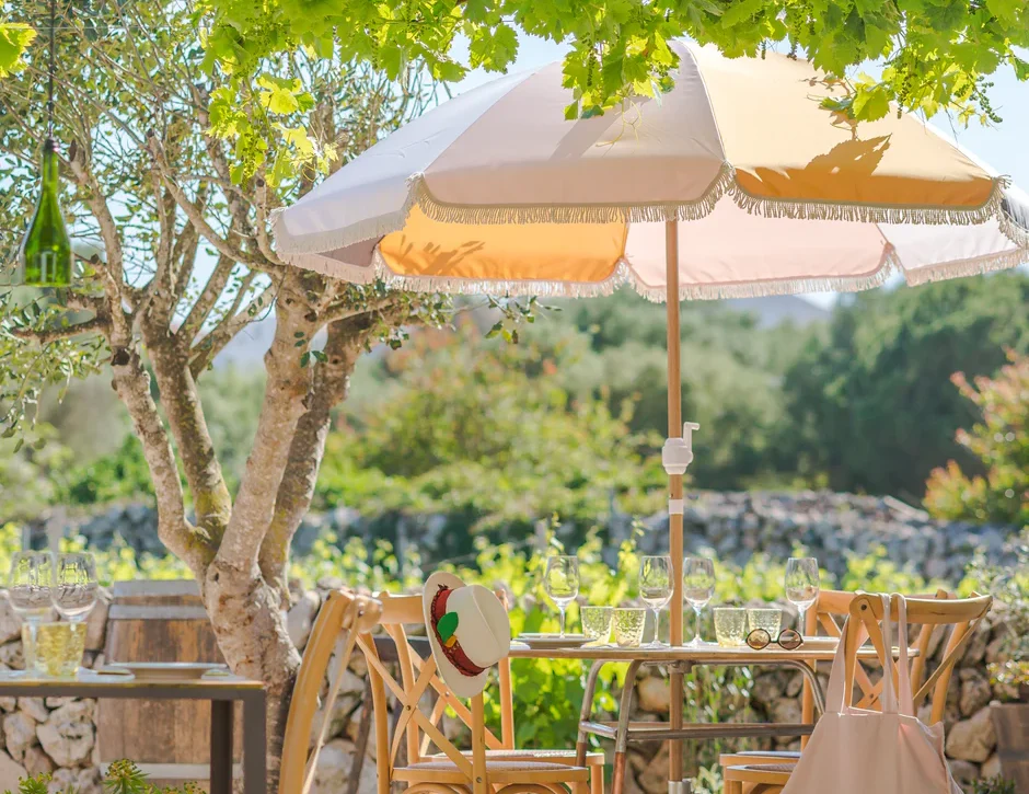 catas de vino menorca guia menorca