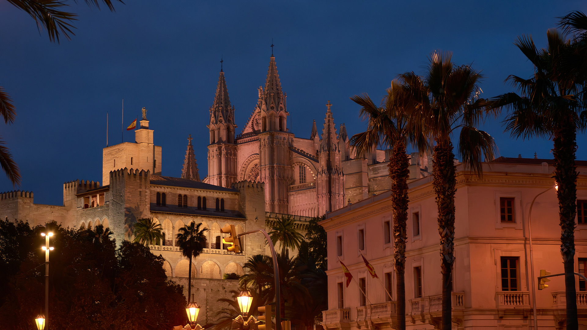 Mallorca cathedral at night