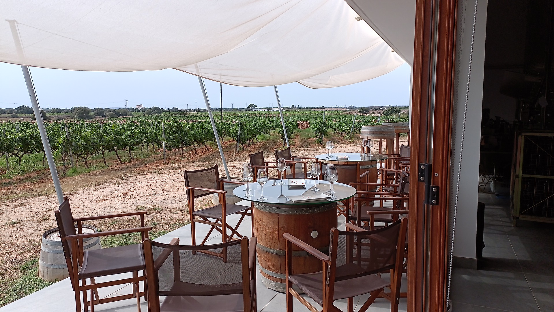 catas de vino menorca guia menorca